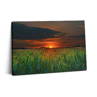 Canvas kép 60x40 Napraforgó a réten