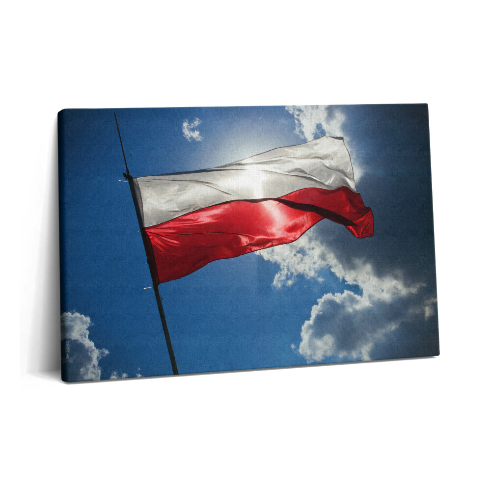 Canvas kép 60x40 Lengyel zászló az égen