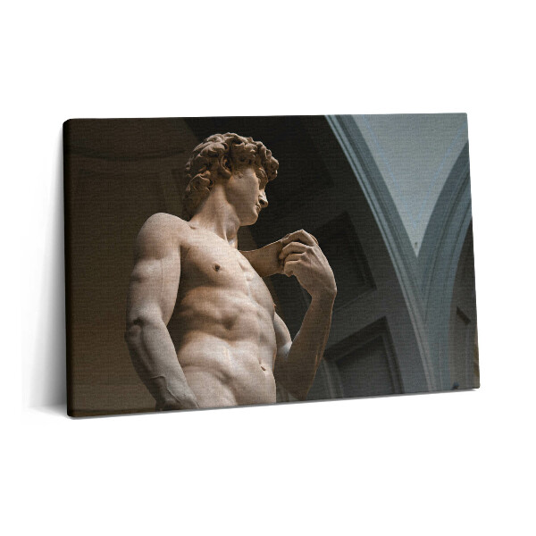 Canvas kép 60x40 Dávid szobra - Michelangelo