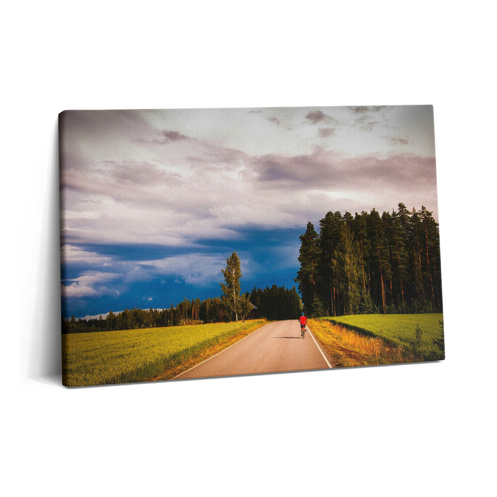 Canvas kép 60x40 Rendezett kerékpárút