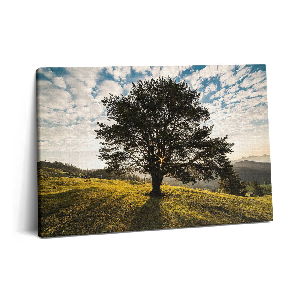 Canvas kép 60x40 Lombos fa egy dombon