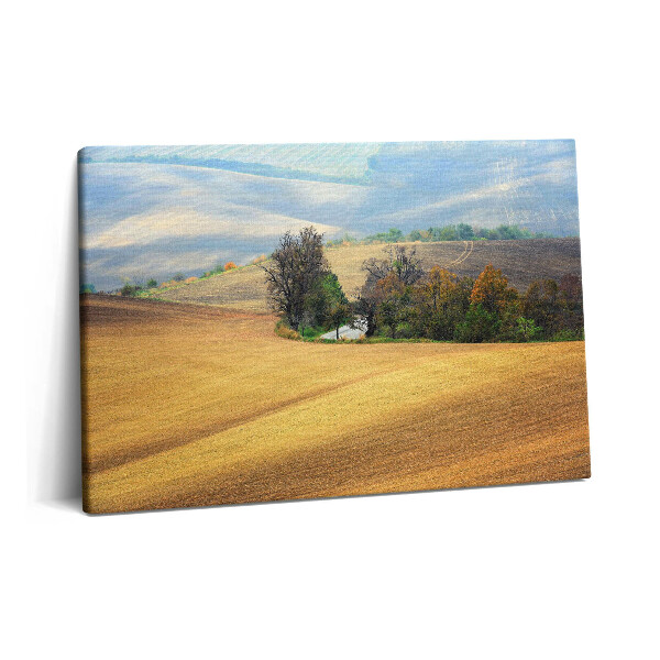 Canvas kép 60x40 Morva vidék
