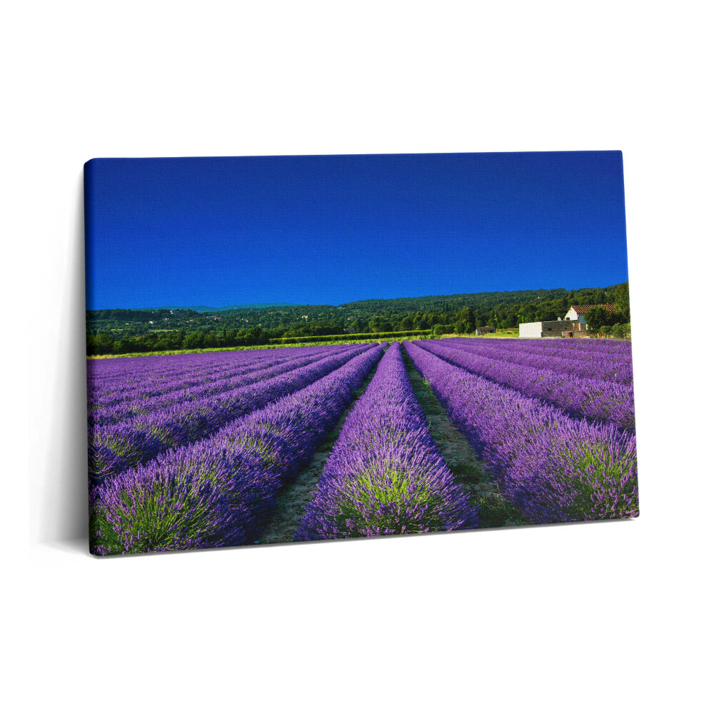 Canvas kép 60x40 Levendulamező Provence-ban