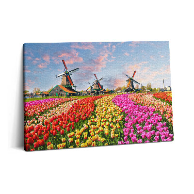 Canvas kép 60x40 Tájkép tulipánokkal Hollandia