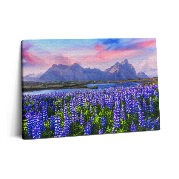 Canvas kép 60x40 Levendulamezők - Izland
