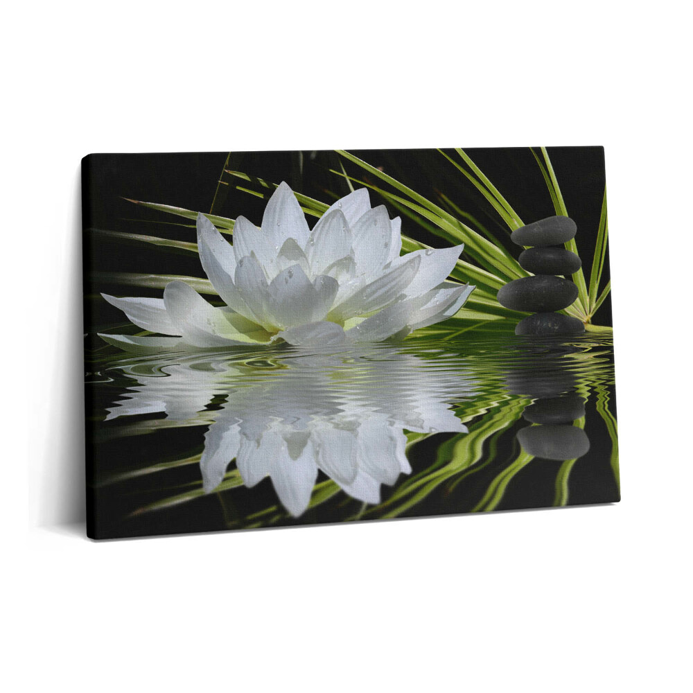 Canvas kép 60x40 Tavirózsa és levelek