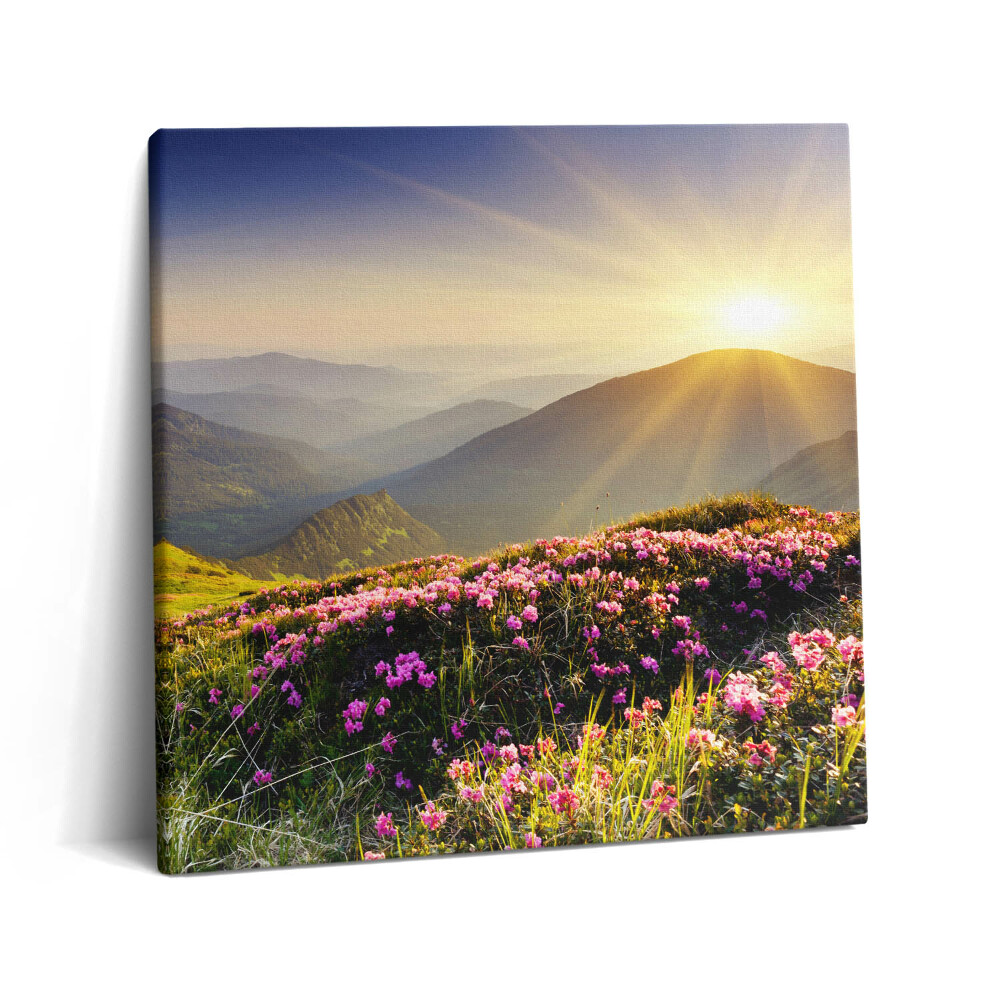 Vászonkép 60x60 Hegyek és egy virágos rét