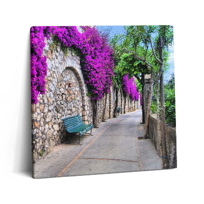 Vászonkép 60x60 Virágos út Capriból Olaszországból