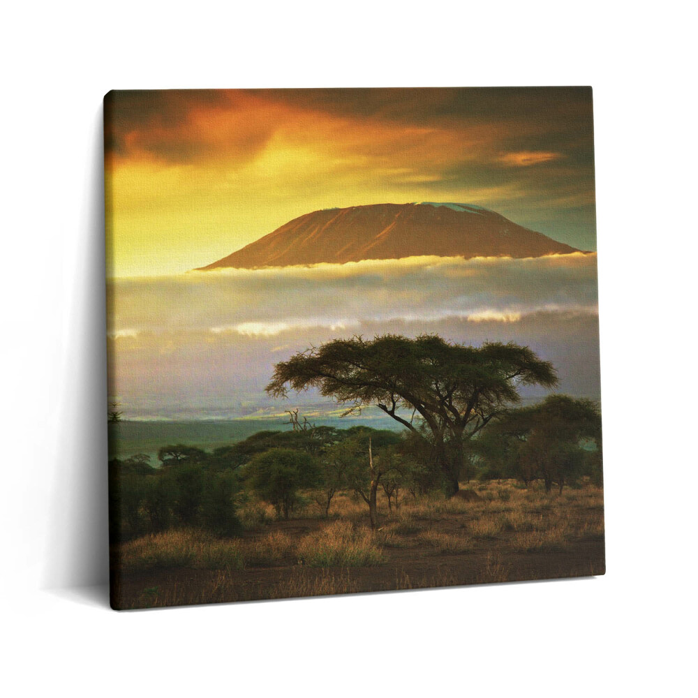 Vászonkép 60x60 A Kilimandzsáró hegy és a felhővonal naplementekor
