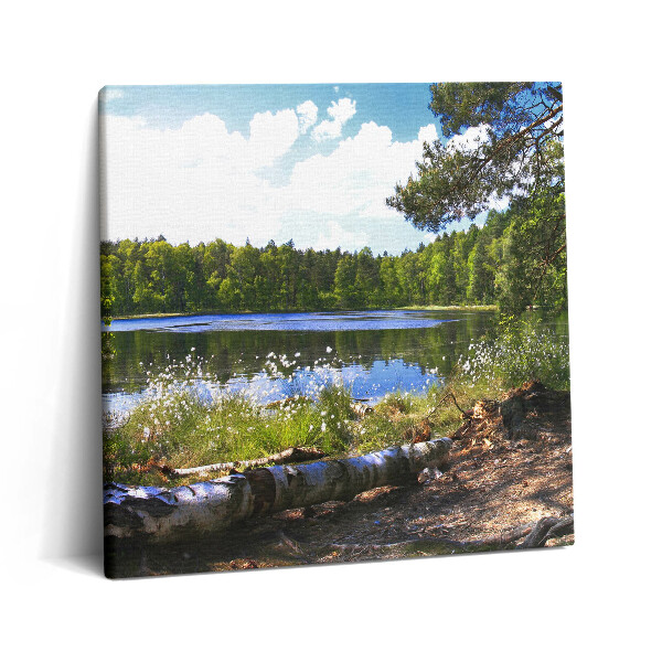 Vászonkép 60x60 Egy erdei tó látványa