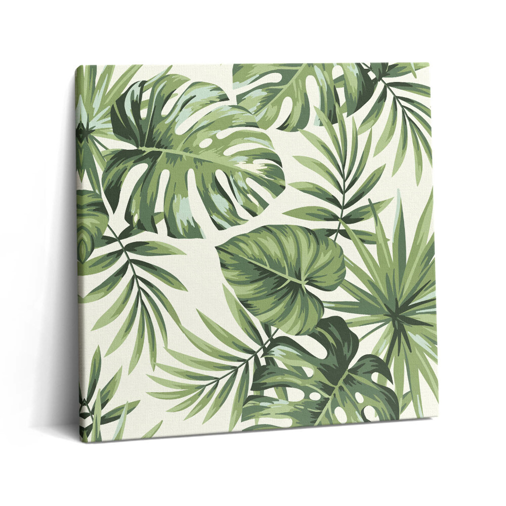 Vászonkép 60x60 Monstera levél illusztráció