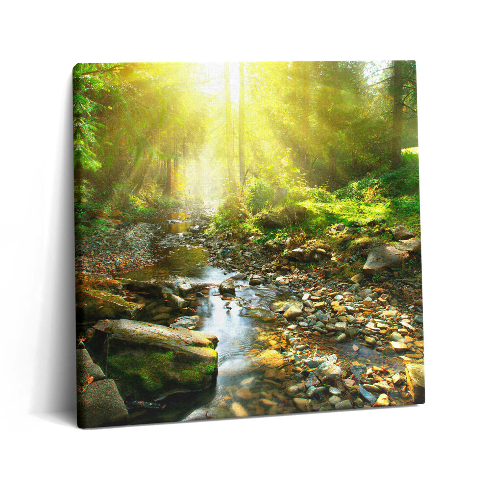Vászonkép 60x60 Erdei patak a napfényben