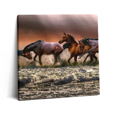 Vászonkép 60x60 Vízbe bukott lovak