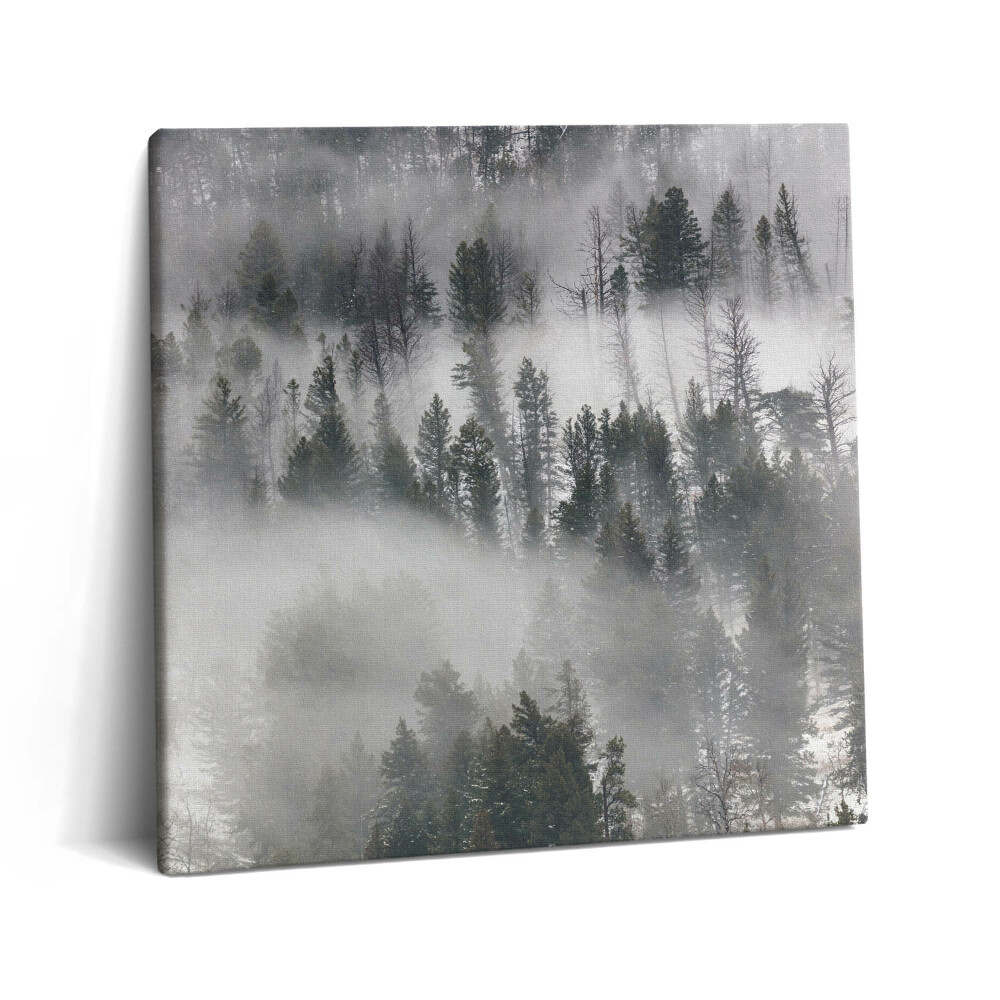 Vászonkép 60x60 Ködös erdei táj