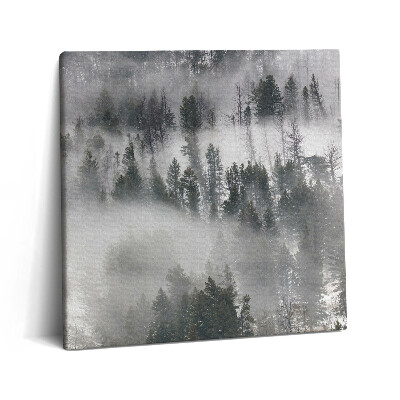 Vászonkép 60x60 Ködös erdei táj