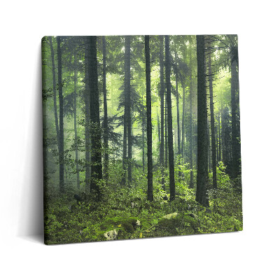 Vászonkép 60x60 Fákból és erdei növényzetből álló tájkép