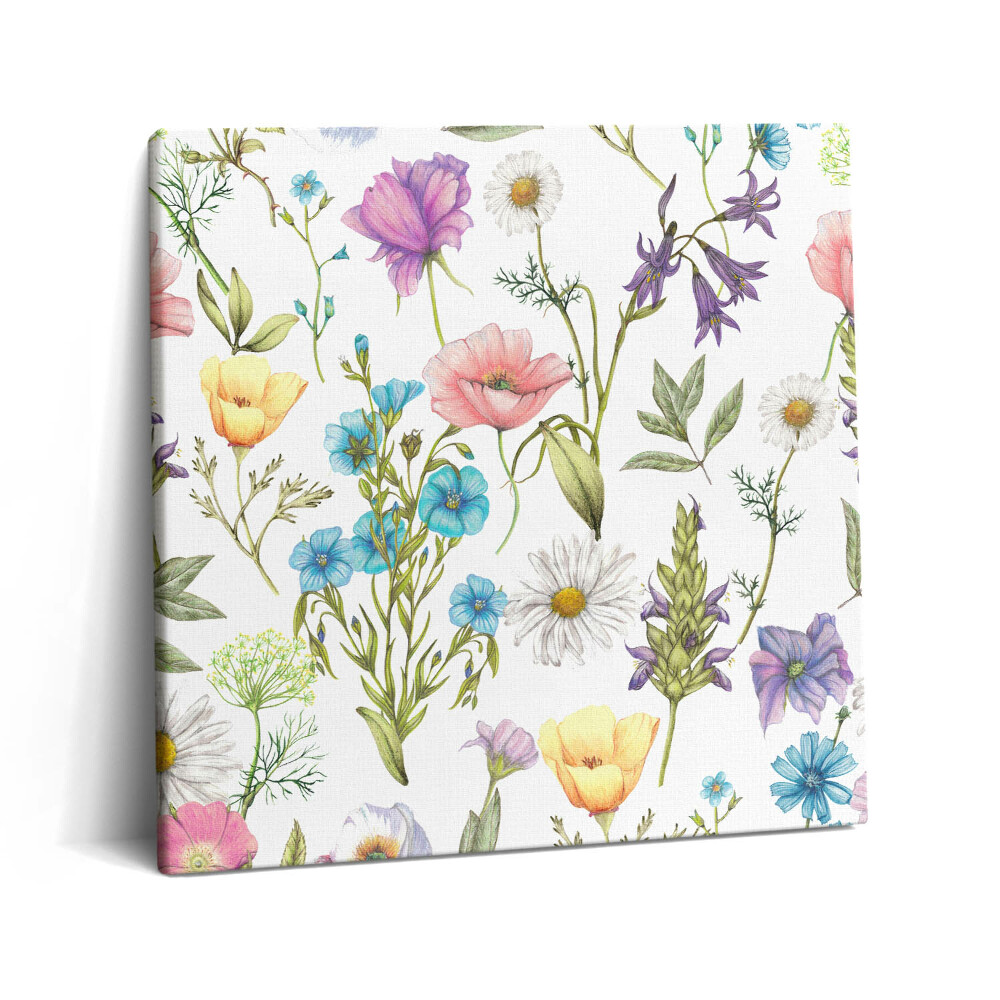 Vászonkép 60x60 Virágillusztráció - virágos rét