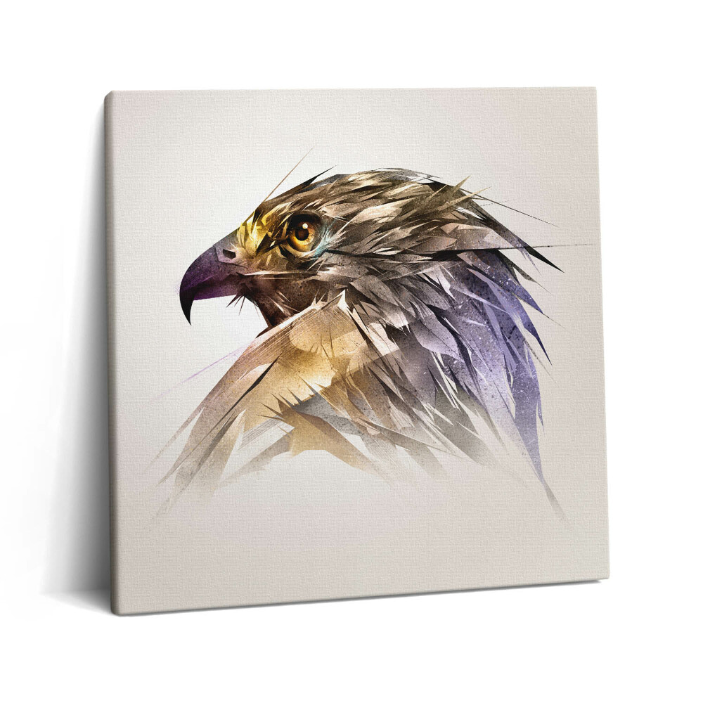 Vászonkép 60x60 Királyi ragadozó madár