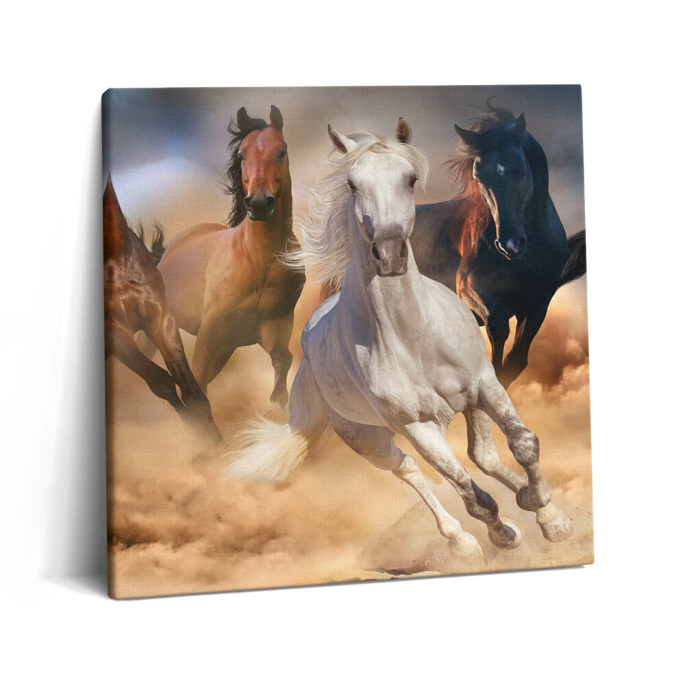 Vászonkép 60x60 Galoppban rohanó lovak