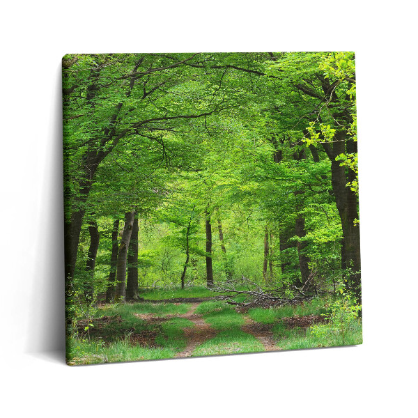 Vászonkép 60x60 Erdei út a fák alatt