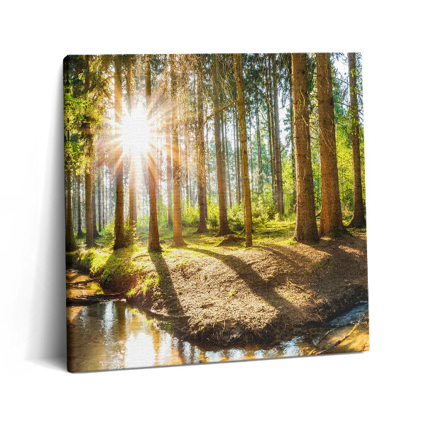 Vászonkép 60x60 Nap a fák mögött az erdőben