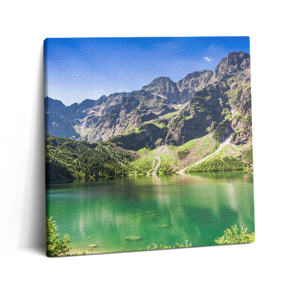 Vászonkép 60x60 Erdő és természet a tó hegyeiben