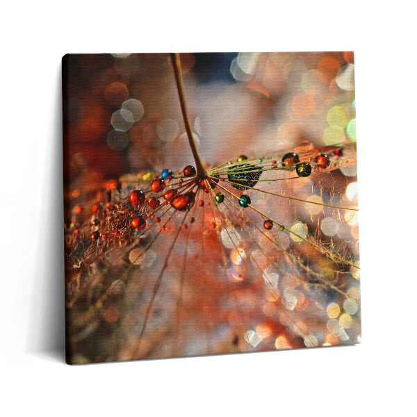 Vászonkép 60x60 Pitypang és harmat