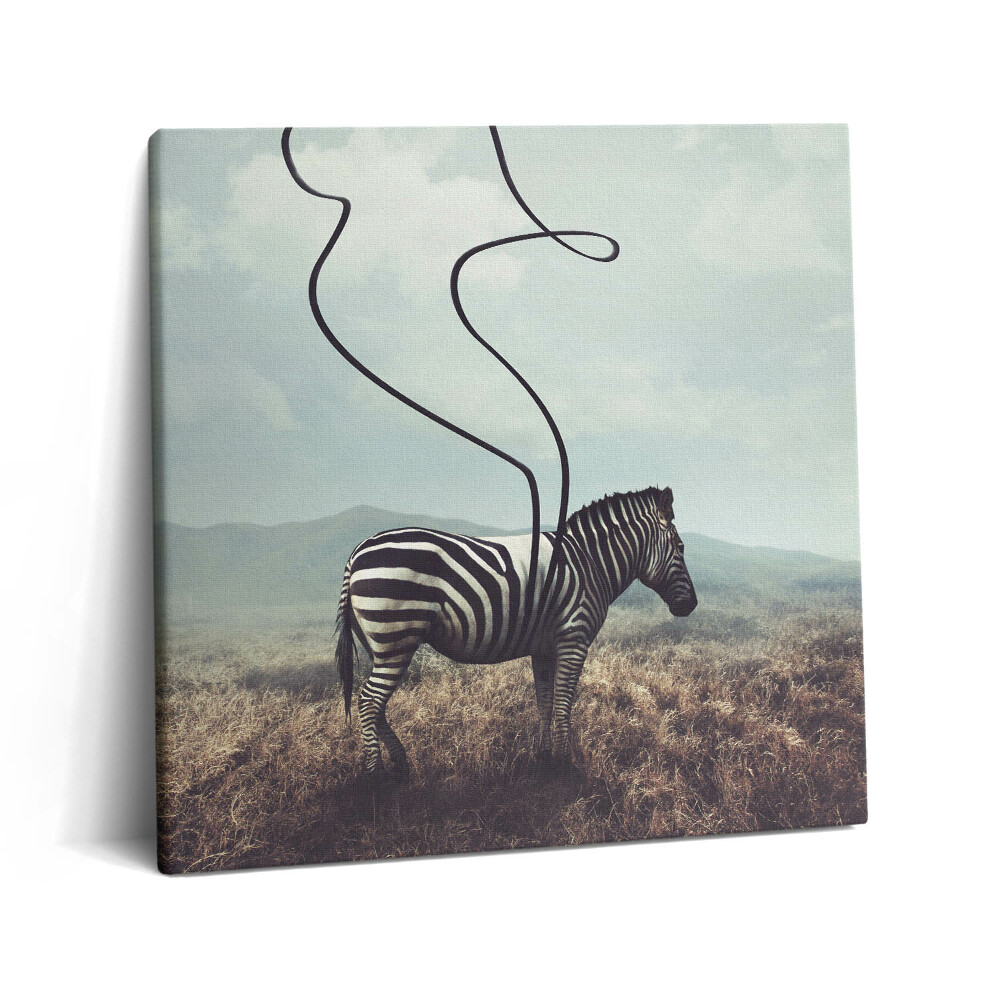 Vászonkép 60x60 Illusztráció zebracsíkokkal
