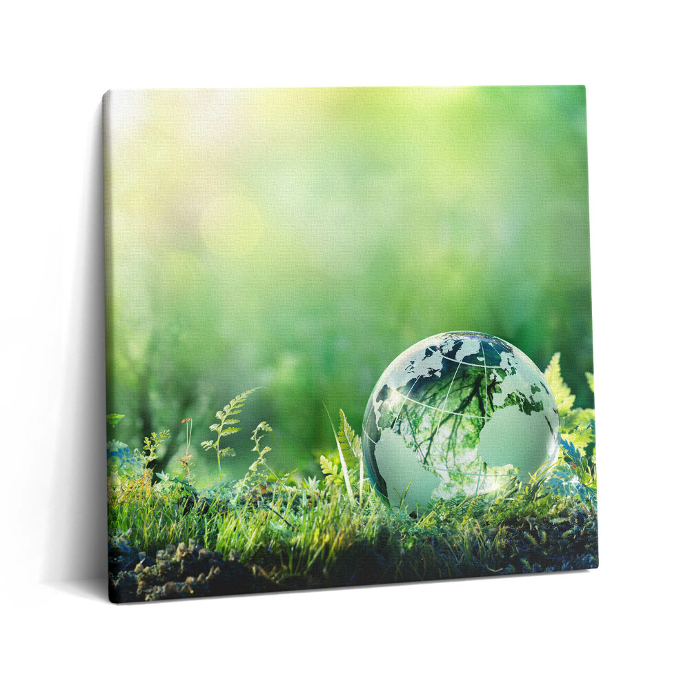 Vászonkép 60x60 Földgömb a fűben