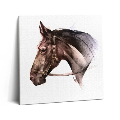 Vászonkép 60x60 Egy ló festett profilja