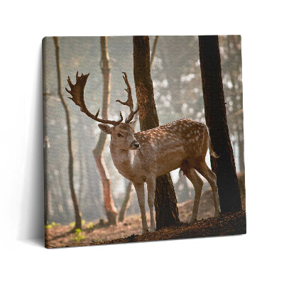 Vászonkép 60x60 Szarvas a felkelő nap fényében