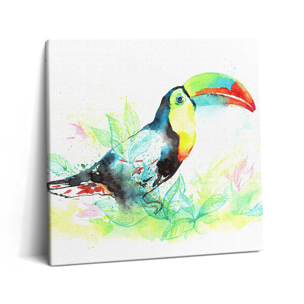 Vászonkép 60x60 Tukán akvarell fű