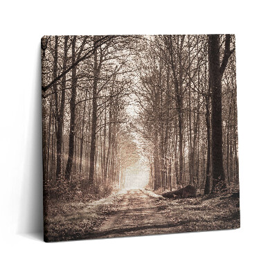 Vászonkép 60x60 Erdei ösvény szepia színekben