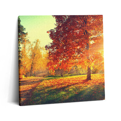 Vászonkép 60x60 Őszi park