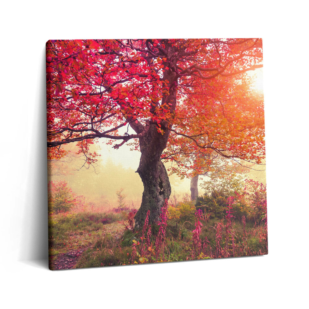 Vászonkép 60x60 Őszi fák