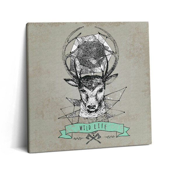Vászonkép 60x60 Szarvasfej