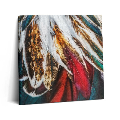 Vászonkép 60x60 Világosbarna madártollak