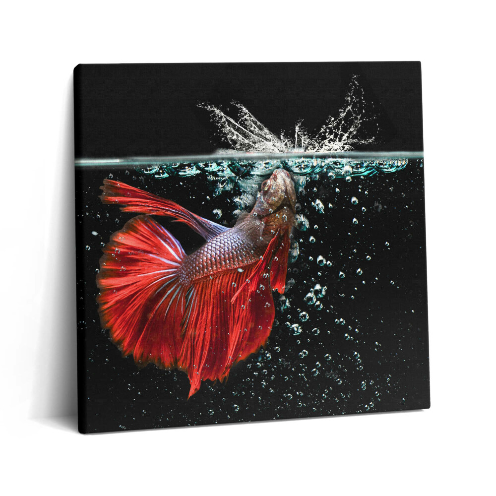 Vászonkép 60x60 Halak egy akváriumban