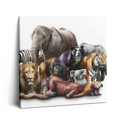Vászonkép 60x60 Vadvilág