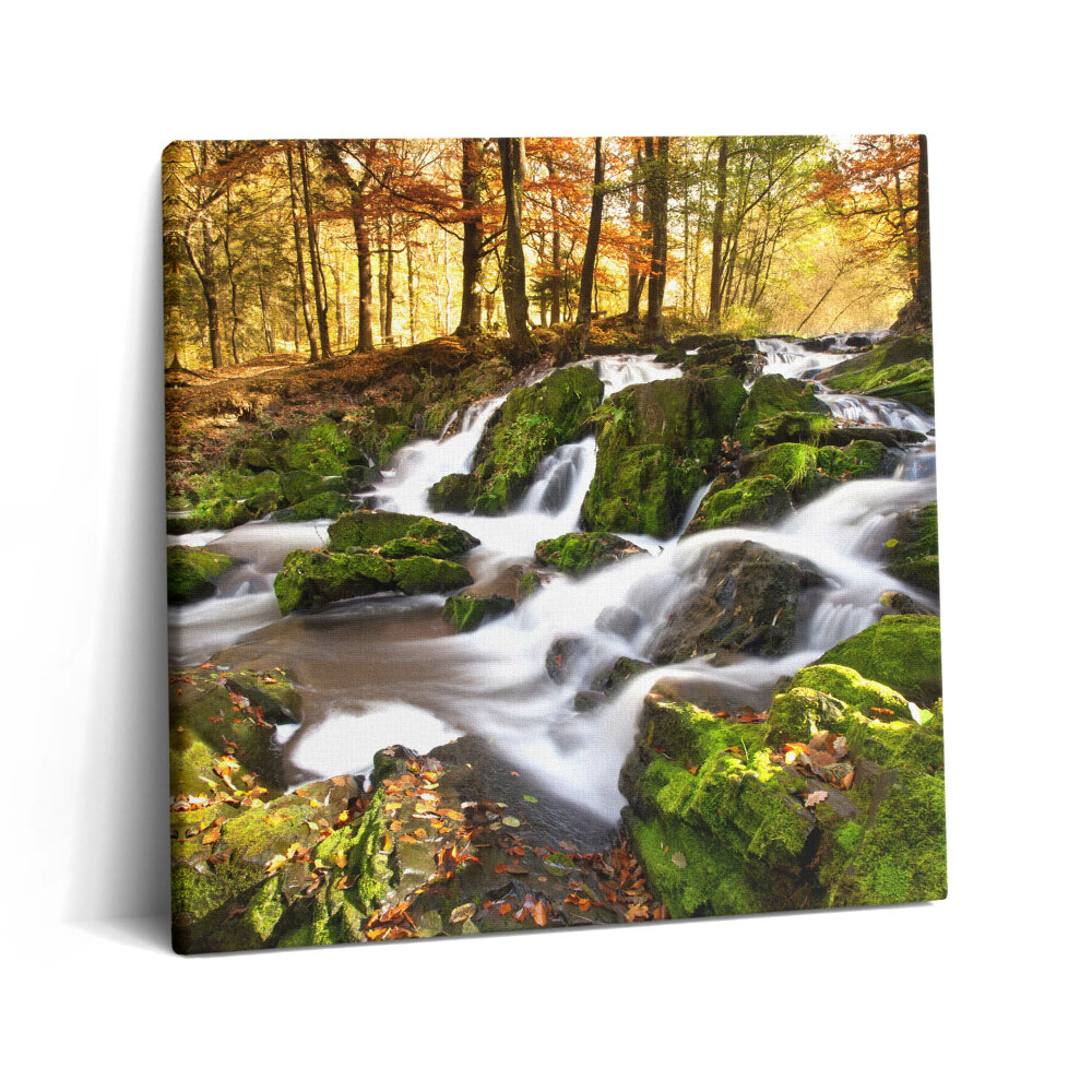 Vászonkép 60x60 Patak az őszi erdőben