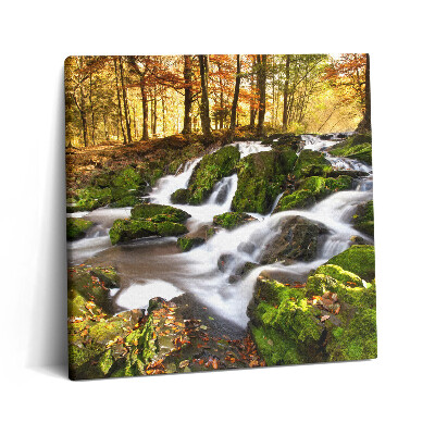 Vászonkép 60x60 Patak az őszi erdőben
