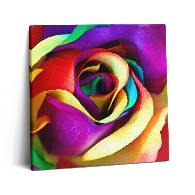 Vászonkép 60x60 Szivárványos rózsa