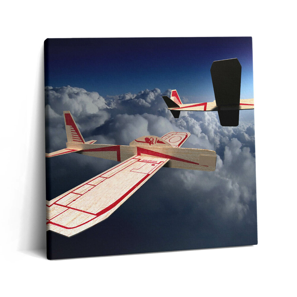 Vászonkép 60x60 Siklás az égen