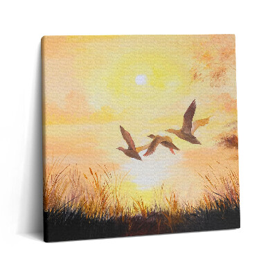 Vászonkép 60x60 Daruk naplementében