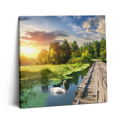 Vászonkép 60x60 Hattyú naplementében