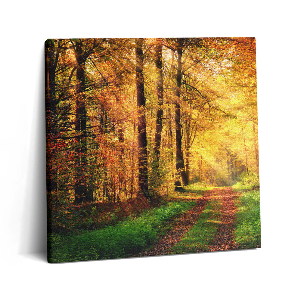 Vászonkép 60x60 Őszi erdei tájkép