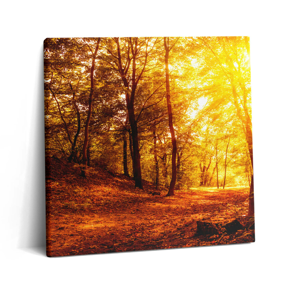 Vászonkép 60x60 Őszi tájkép naplementével