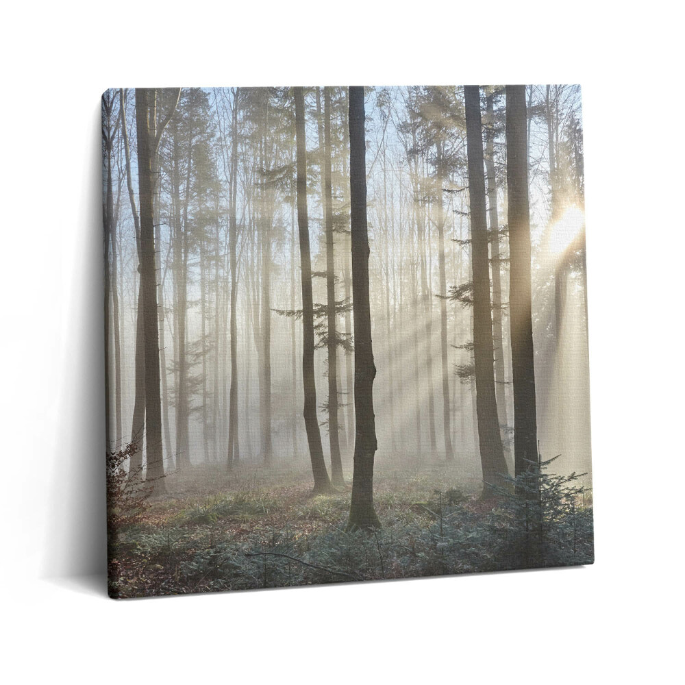 Vászonkép 60x60 Erdő a ködben