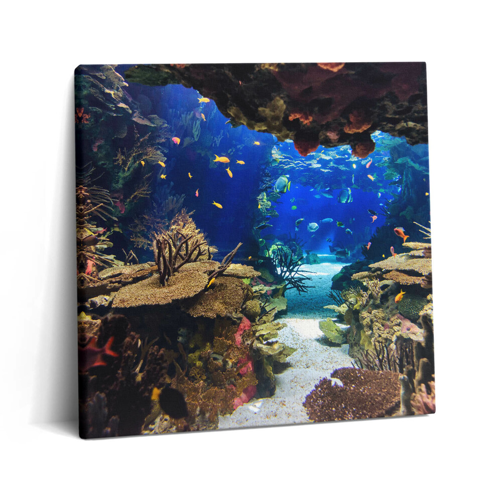 Vászonkép 60x60 Akvárium