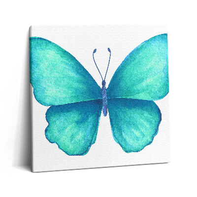 Vászonkép 60x60 Türkizkék nyári pillangó